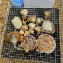 서부단지 | [태안/해산물] 태안서부시장 "단지수산" 솔직후기: 캠핑 조개구이에 강력추천하는 신선한 조개 맛집