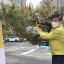동부문구 - 해운대구 해운대로 428 | 동부문구