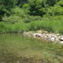 숲속의 샘물 캠핑장 이미지