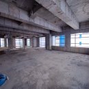 동성초 앞 이미지