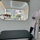 바닐라 퍼피 이미지