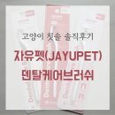 펫엣지 | 고양이 칫솔 솔직후기 (실패편😅) | 자유펫 덴탈케어브러쉬 - 하드/소프트/엣지
