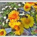 백석1리 이미지