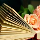 국민연금관리공단 이미지