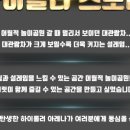 하이홀덤 이미지