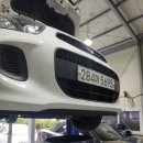 오토엘리펀트 이미지