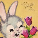 한화꿈에그린 아파트 맞은편 이미지