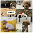 펫트리파크 이미지