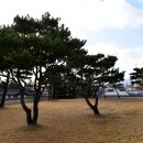 홍주의사총 이미지