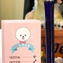 킴스펫살롱 이미지