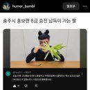 36 - 오블완