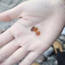 종만농장 | 독일의 크리스마스🇩🇪🎄Vol.2