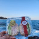 속초751샌드위치 이미지