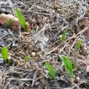 민지네농장 이미지