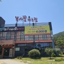 복사꽃정원 | 대전 유성구 맛집 '복사꽃피는집' 쭈꾸미와 화덕피자+커피까지~