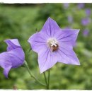 주암민박 이미지