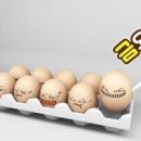 길당구클럽 Daum카페