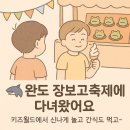 완도호랑가시나무 가로수길 | 🌊 완도 장보고축제, 아들 둘과 함께한 하루