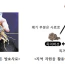 [일본]친환경 사료로 부가가치 창출 ‘순환형 축산업’ 이미지