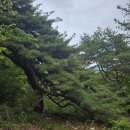 바산목장 이미지