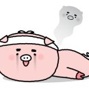 빈체로 피트니스 이미지