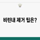 줄기