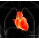 머스트휘트니스 이미지