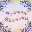 코 재수술 : 더난 성형외과 상담 후기