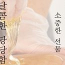 레몬슈가링왁싱 대전둔산점