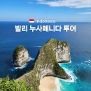 서부간선로 교통섬 | 발리 누사페니다 투어 후기 가족여행 추천