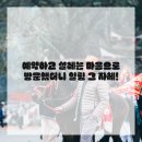 서울엠플란트치과의원 이미지