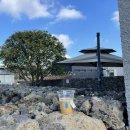 에이오의원 이미지