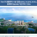 속초코아루공인중개사사무소 이미지