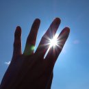 해를 담다 이미지