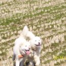 훼미리랜드 이미지