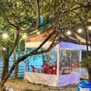 교동 감나무집 이미지