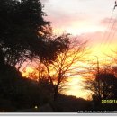 장미화원 이미지