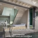 테마 애견 이미지