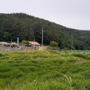 창포동3가010 이미지