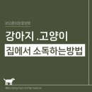 분당중앙동물병원 이미지