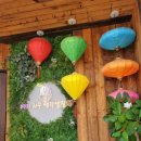 베테랑쌀국수 이미지