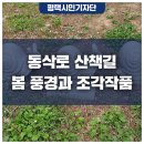 동삭로 이미지
