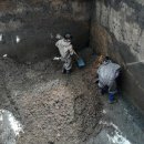 아침농장임실 이미지