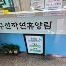 율리휴양로 | 증평 좌구산자연휴양림 휴양랜드 물고기자리 연립동 1층 아이랑 숙소 후기