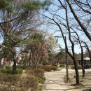 느티울어린이공원 이미지