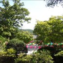 스테이 수림 이미지