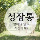 책속의죽비소리 - (645) 무조건 버티는 시대는 끝났다/ 스토리텔링 작가 김나위 이미지