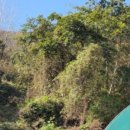 북면주유소 이미지