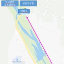 자호천 | 영천 벚꽃명소 자호천 벚꽃길(양항교~양수교) : 임고선원캠핑장 곰들덤공원