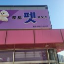 토토펫 하우스 이미지